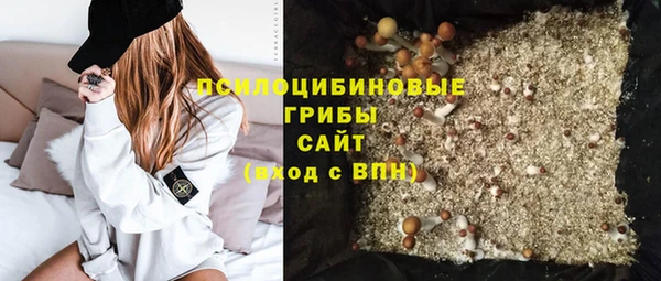 трава Мегион