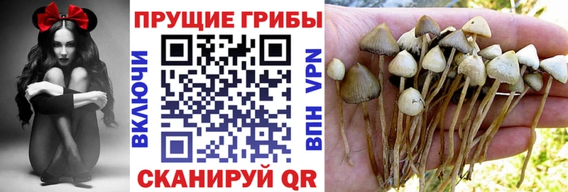 Галлюциногенные грибы Psilocybine cubensis  продажа наркотиков  blacksprut ССЫЛКА  Обнинск 